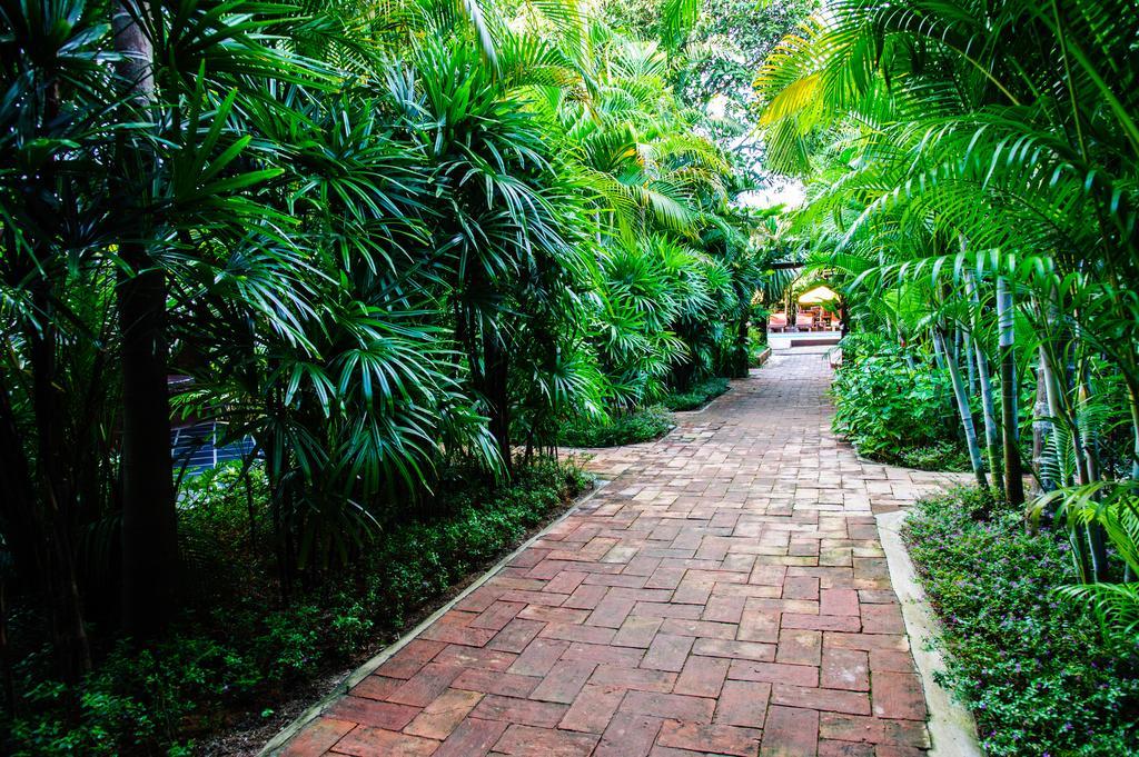 Baanpong Lodge San Kamphaeng Exterior foto